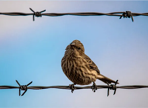 Triangular Bent Guardrail: Innovative Design Enhancing Safety and Durability