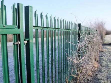 Palisade Fence