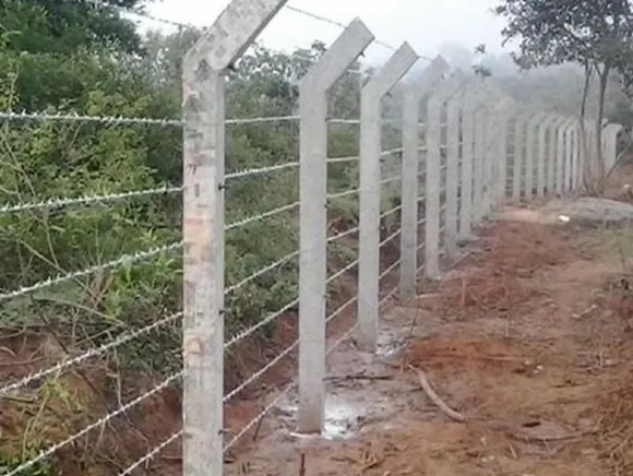 Stainless Steel Barbed Wire