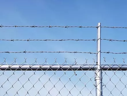 Stainless Steel Barbed Wire