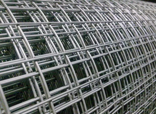 Five Reasons You Need Welded Wire Mesh