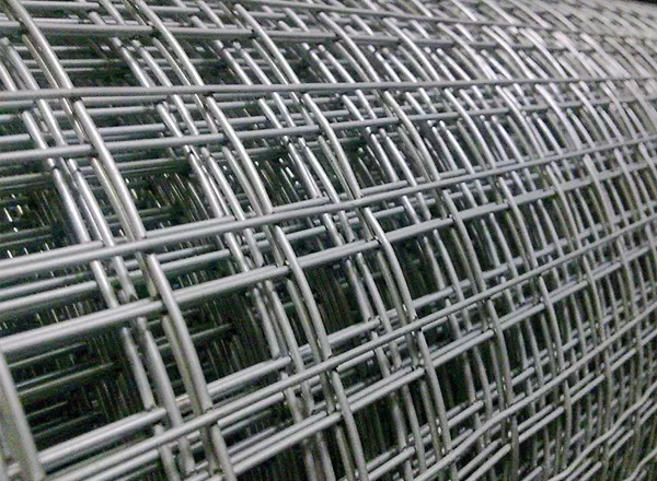 Buyer's Guide to Choosing the Right Welded Wire Mesh